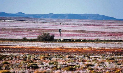 Elandsnes Elands Bay Western Cape South Africa Complementary Colors, Desert, Nature, Sand, Lowland