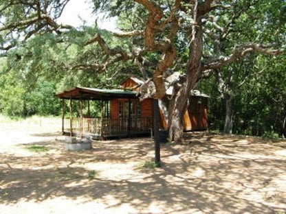 Elands Bike Trike And Quad Camp Bed And Bush Marble Hall Limpopo Province South Africa Cabin, Building, Architecture, Forest, Nature, Plant, Tree, Wood