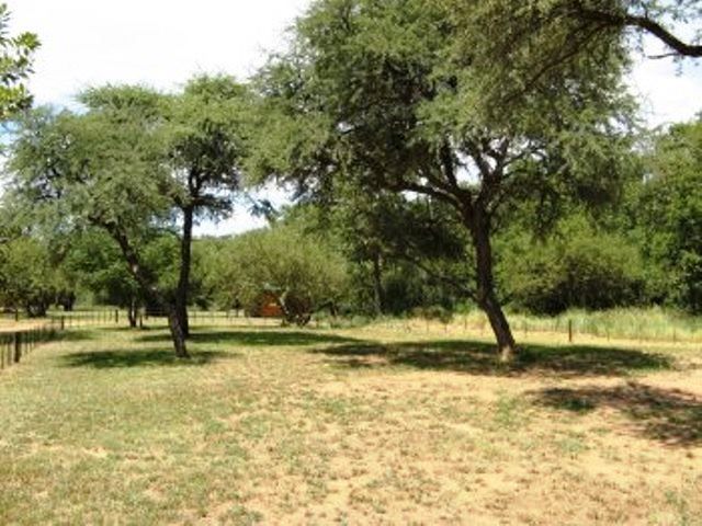 Elands Bike Trike And Quad Camp Bed And Bush Marble Hall Limpopo Province South Africa Plant, Nature, Lowland