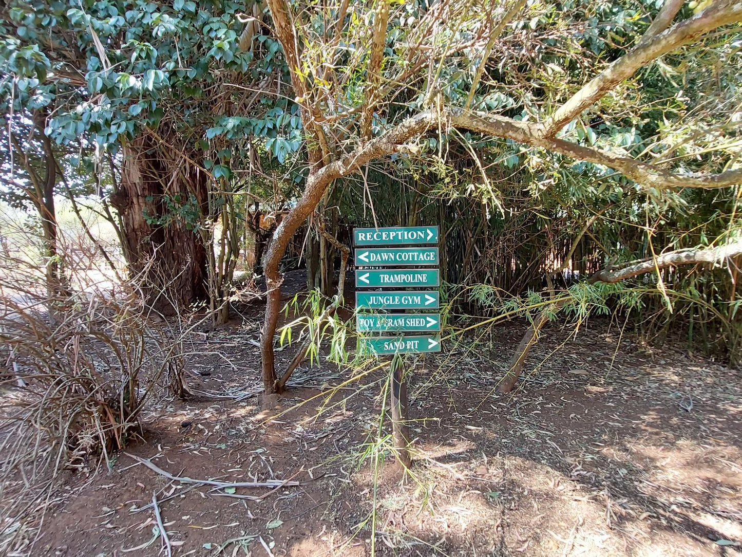 Elands Valley Dullstroom Mpumalanga South Africa Forest, Nature, Plant, Tree, Wood, Sign