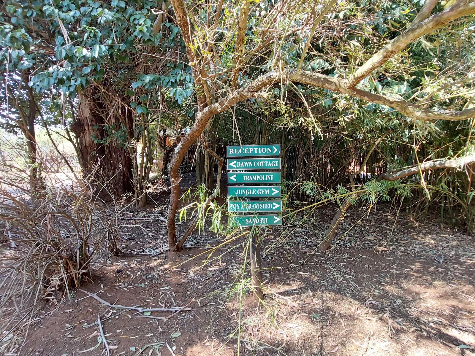 Elands Valley Dullstroom Mpumalanga South Africa Forest, Nature, Plant, Tree, Wood, Sign