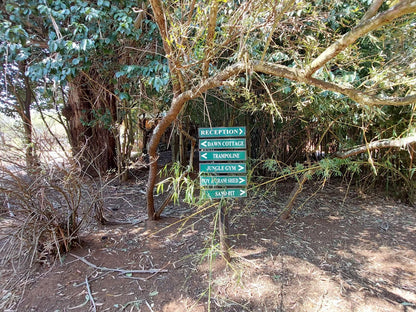 Elands Valley Dullstroom Mpumalanga South Africa Forest, Nature, Plant, Tree, Wood, Sign