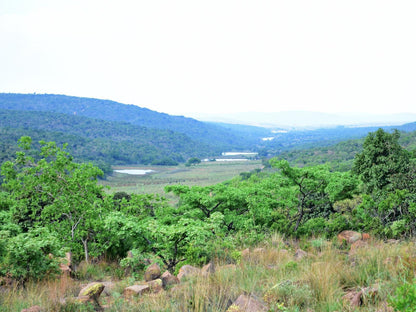 Elandsvlei Estate Farmhouse Waterberg Limpopo Province South Africa Tree, Plant, Nature, Wood, Highland