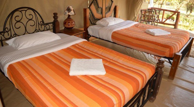 Elangata Olerai Tented Camp Riviera Pretoria Tshwane Gauteng South Africa Bedroom
