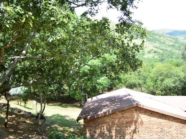 Elangeni Holiday Resort Waterval Boven Mpumalanga South Africa Tree, Plant, Nature, Wood, Highland