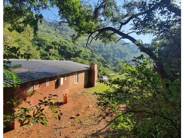 Elangeni Holiday Resort Waterval Boven Mpumalanga South Africa Tree, Plant, Nature, Wood, Highland