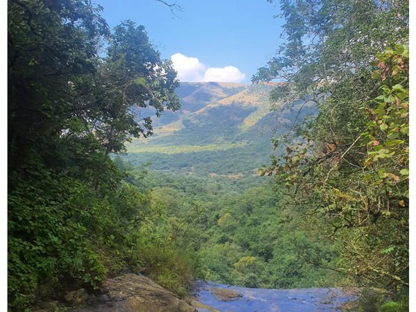 Elangeni Holiday Resort Waterval Boven Mpumalanga South Africa Forest, Nature, Plant, Tree, Wood, Mountain, River, Waters, Waterfall, Highland