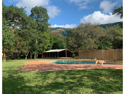 Elangeni Holiday Resort Waterval Boven Mpumalanga South Africa Complementary Colors, Swimming Pool