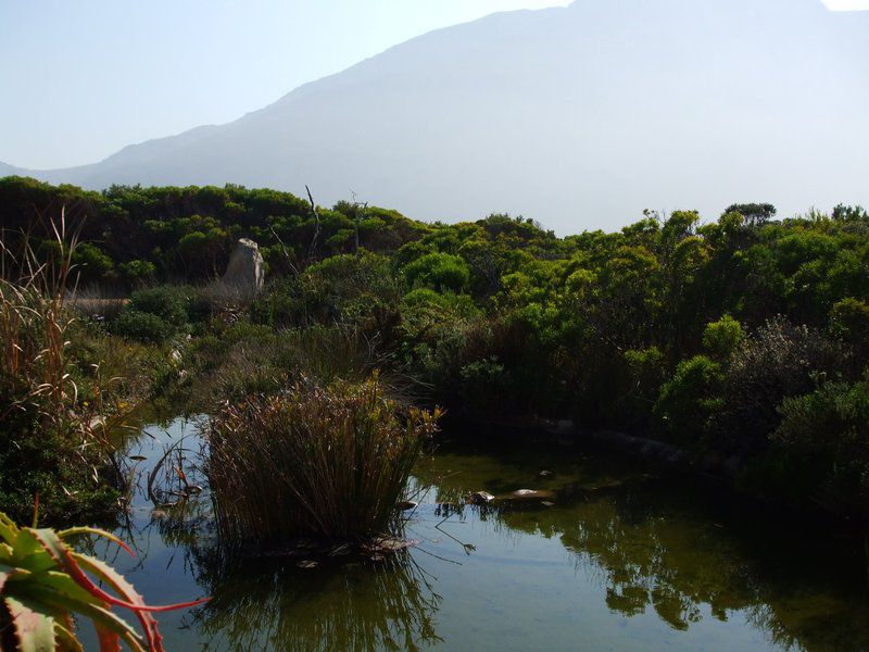 Elangeni Bettys Bay Western Cape South Africa Lake, Nature, Waters, Mountain