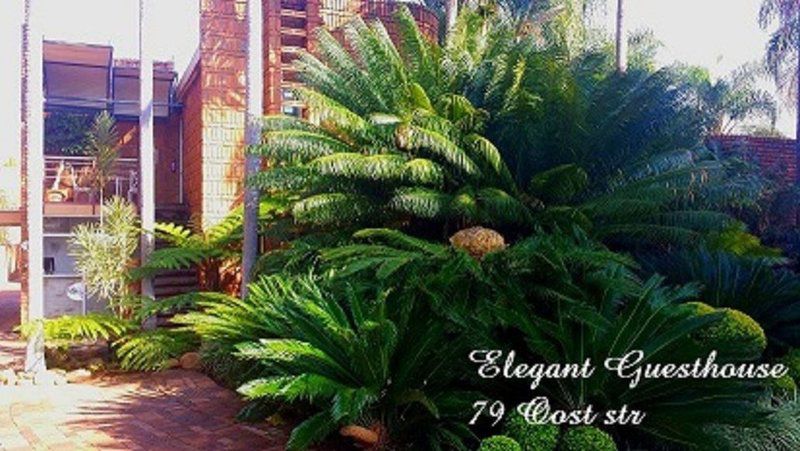 Elegant Guest House Capricorn Suburb Polokwane Pietersburg Limpopo Province South Africa Palm Tree, Plant, Nature, Wood, Garden
