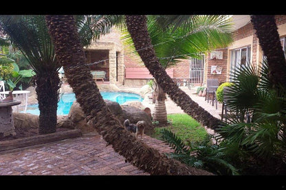 Elegant Guest House Capricorn Suburb Polokwane Pietersburg Limpopo Province South Africa Palm Tree, Plant, Nature, Wood, Garden, Swimming Pool