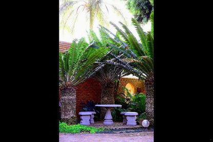 Elegant Guest House Capricorn Suburb Polokwane Pietersburg Limpopo Province South Africa Palm Tree, Plant, Nature, Wood, Framing, Garden