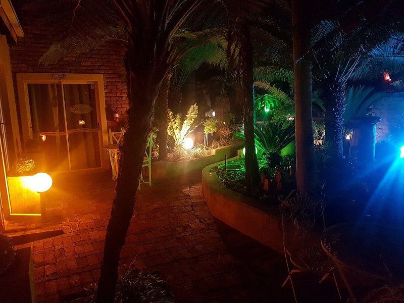 Elegant Guest House Capricorn Suburb Polokwane Pietersburg Limpopo Province South Africa Colorful, Fire, Nature, Palm Tree, Plant, Wood, Garden