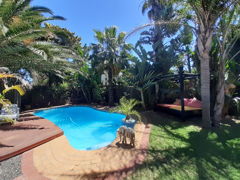 Elements Cape Town Table View Blouberg Western Cape South Africa Complementary Colors, Palm Tree, Plant, Nature, Wood, Garden, Swimming Pool