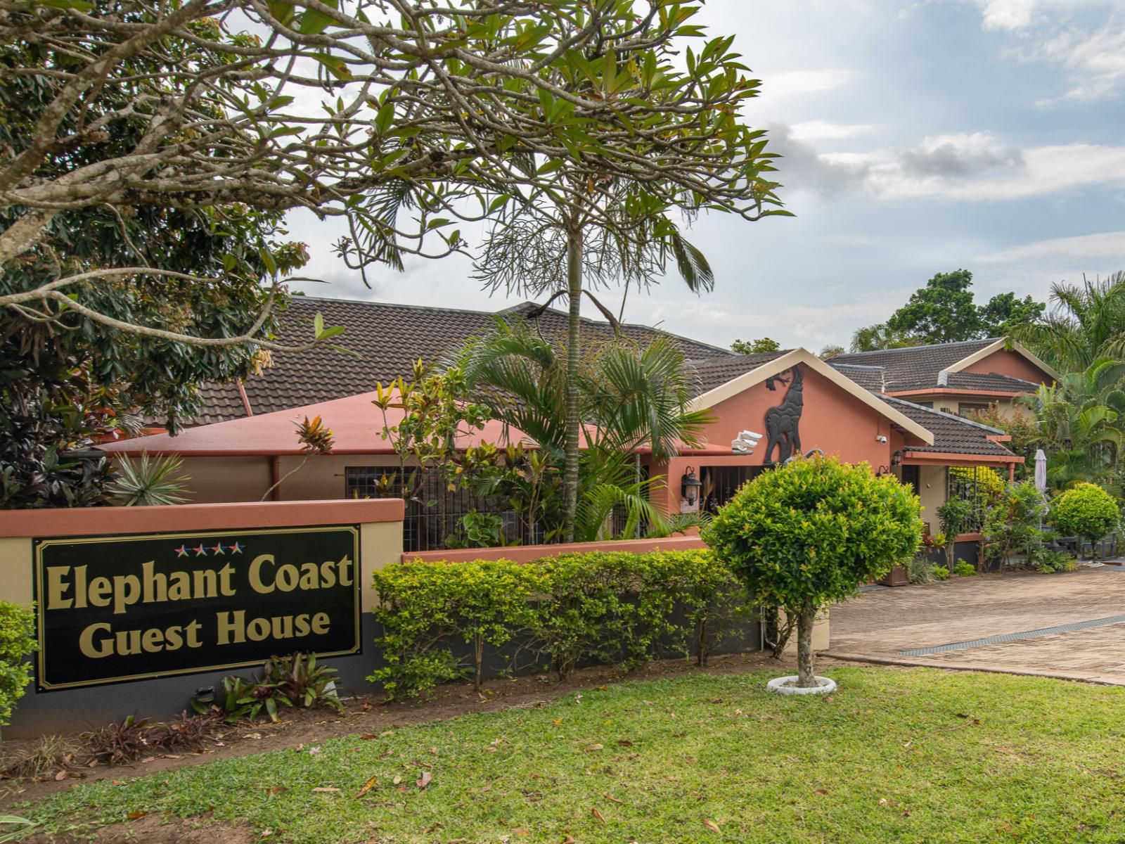 Elephant Coast Guesthouse, House, Building, Architecture, Palm Tree, Plant, Nature, Wood