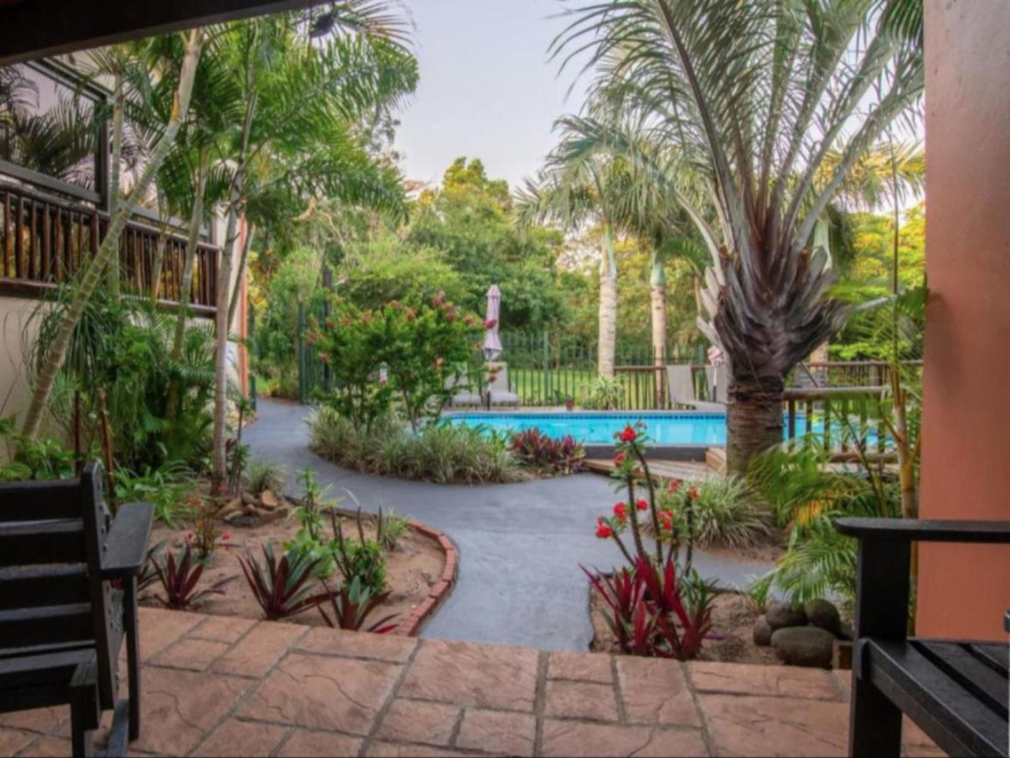 Elephant Coast Guesthouse, Palm Tree, Plant, Nature, Wood, Garden