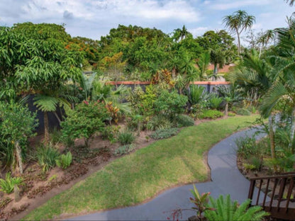 Elephant Coast Guesthouse, Palm Tree, Plant, Nature, Wood, Garden