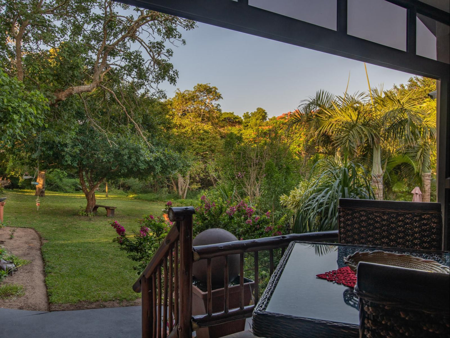 Elephant Coast Guesthouse, Palm Tree, Plant, Nature, Wood, Garden