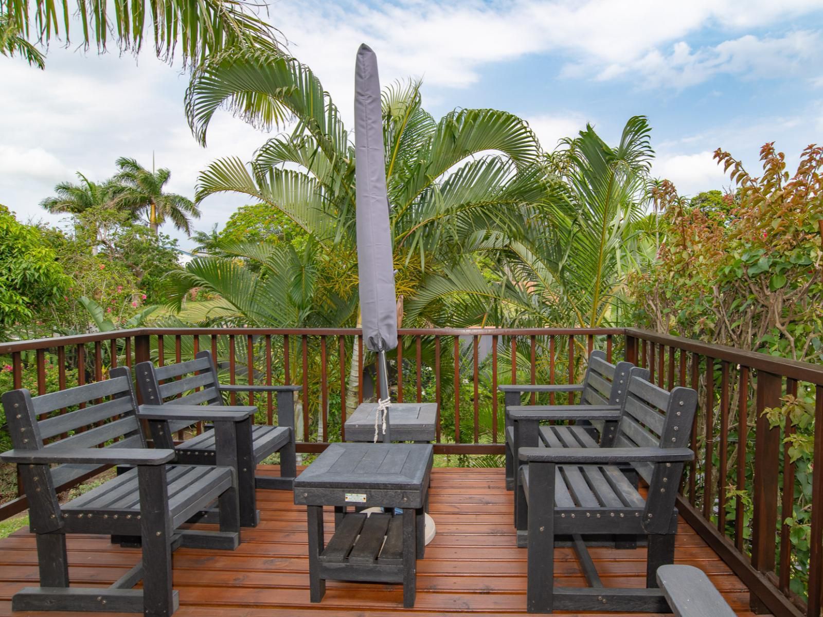 Elephant Coast Guesthouse, Palm Tree, Plant, Nature, Wood