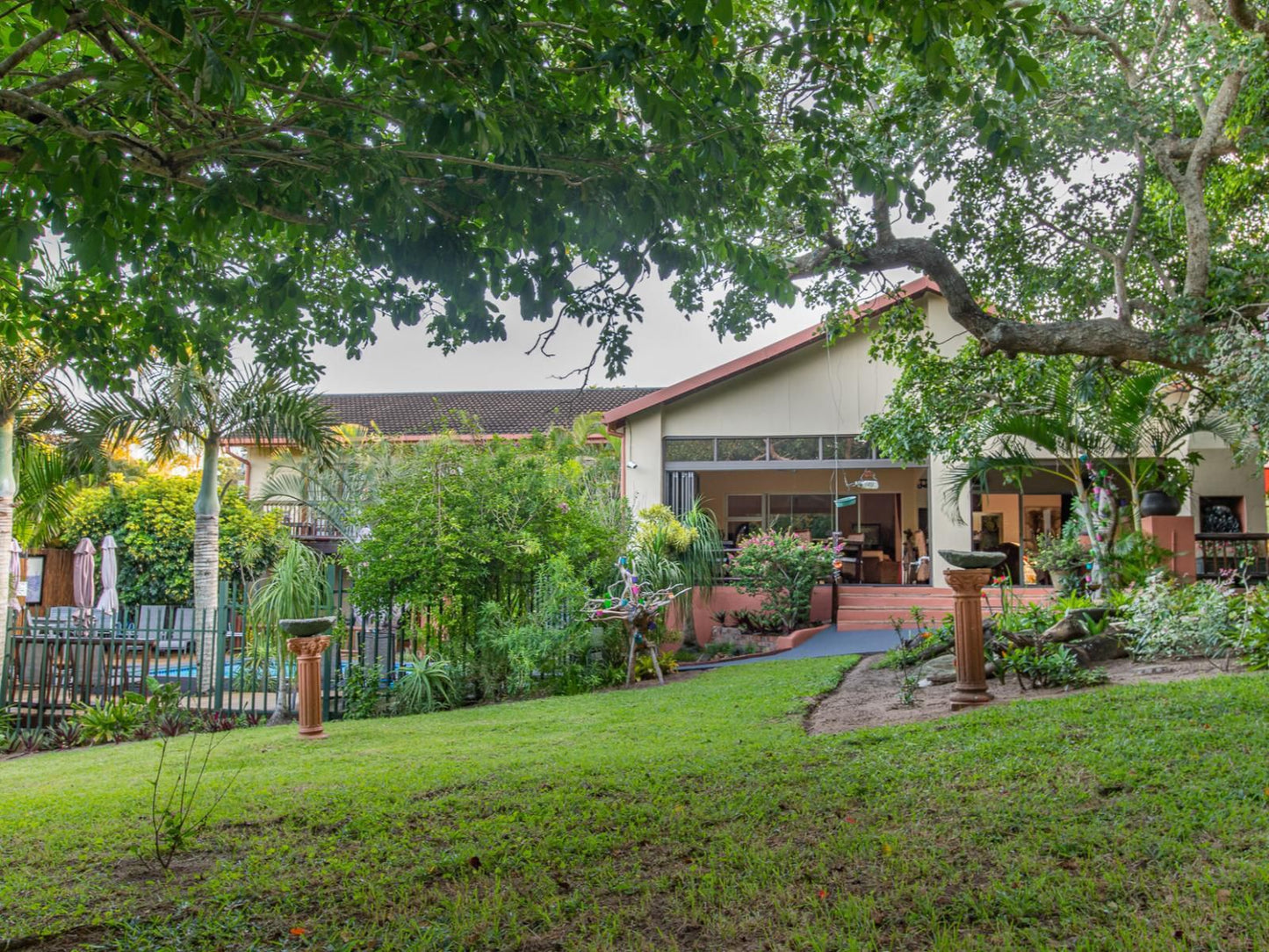 Elephant Coast Guesthouse, House, Building, Architecture, Palm Tree, Plant, Nature, Wood, Garden