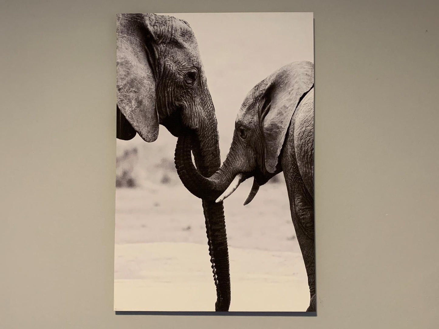 Elephant House Mogwase North West Province South Africa Sepia Tones, Elephant, Mammal, Animal, Herbivore