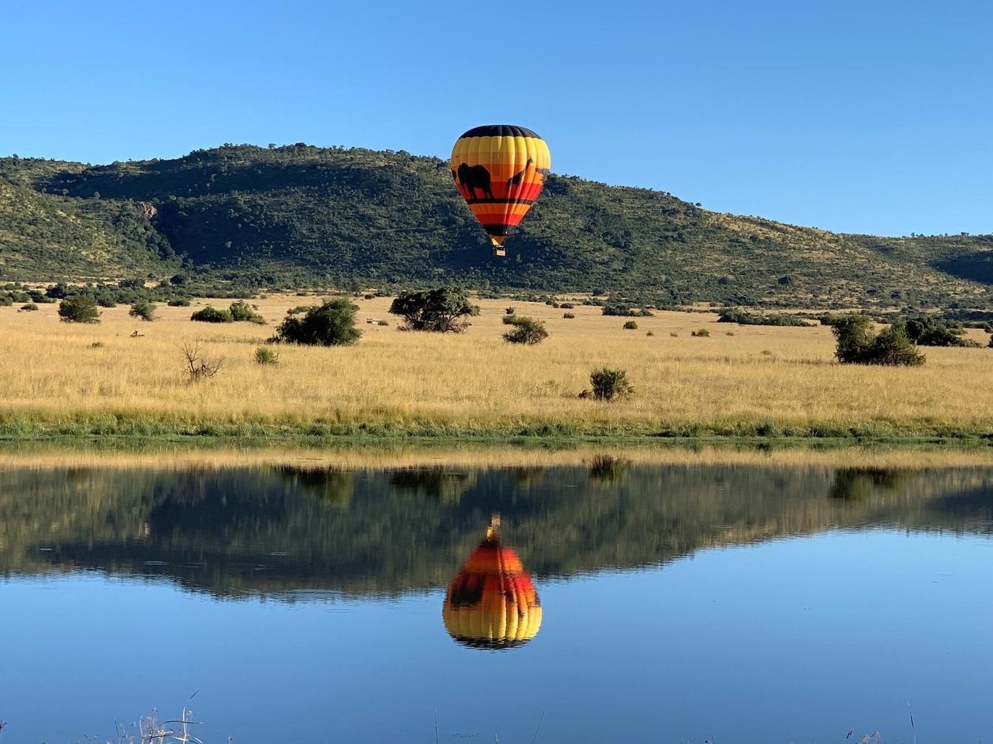 Elephant House Mogwase North West Province South Africa Complementary Colors, Aircraft, Vehicle, Hot Air Balloon