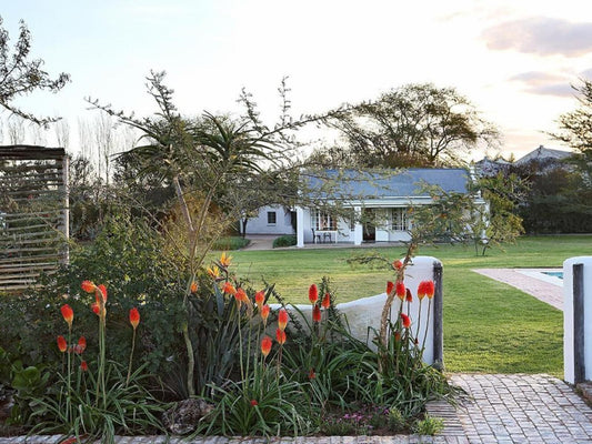 Elephant House Addo Village Eastern Cape South Africa House, Building, Architecture, Plant, Nature, Garden