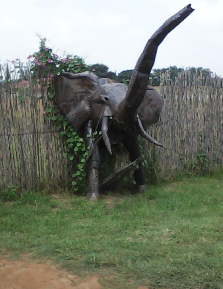 Elephant Lodge Guest House Vanderbijlpark Gauteng South Africa Elephant, Mammal, Animal, Herbivore