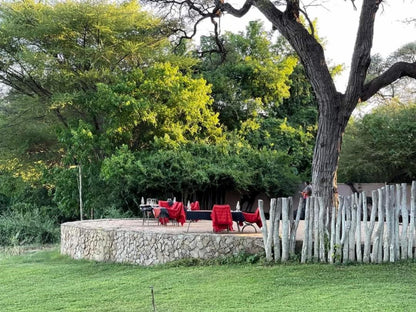 Elephant Valley Lodge, Tree, Plant, Nature, Wood