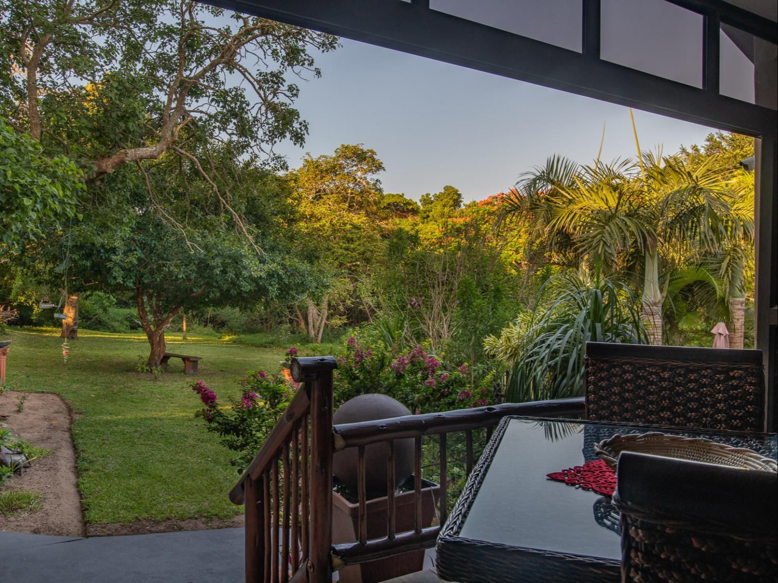 Elephant Coast Guesthouse St Lucia St Lucia Kwazulu Natal South Africa Palm Tree, Plant, Nature, Wood, Garden