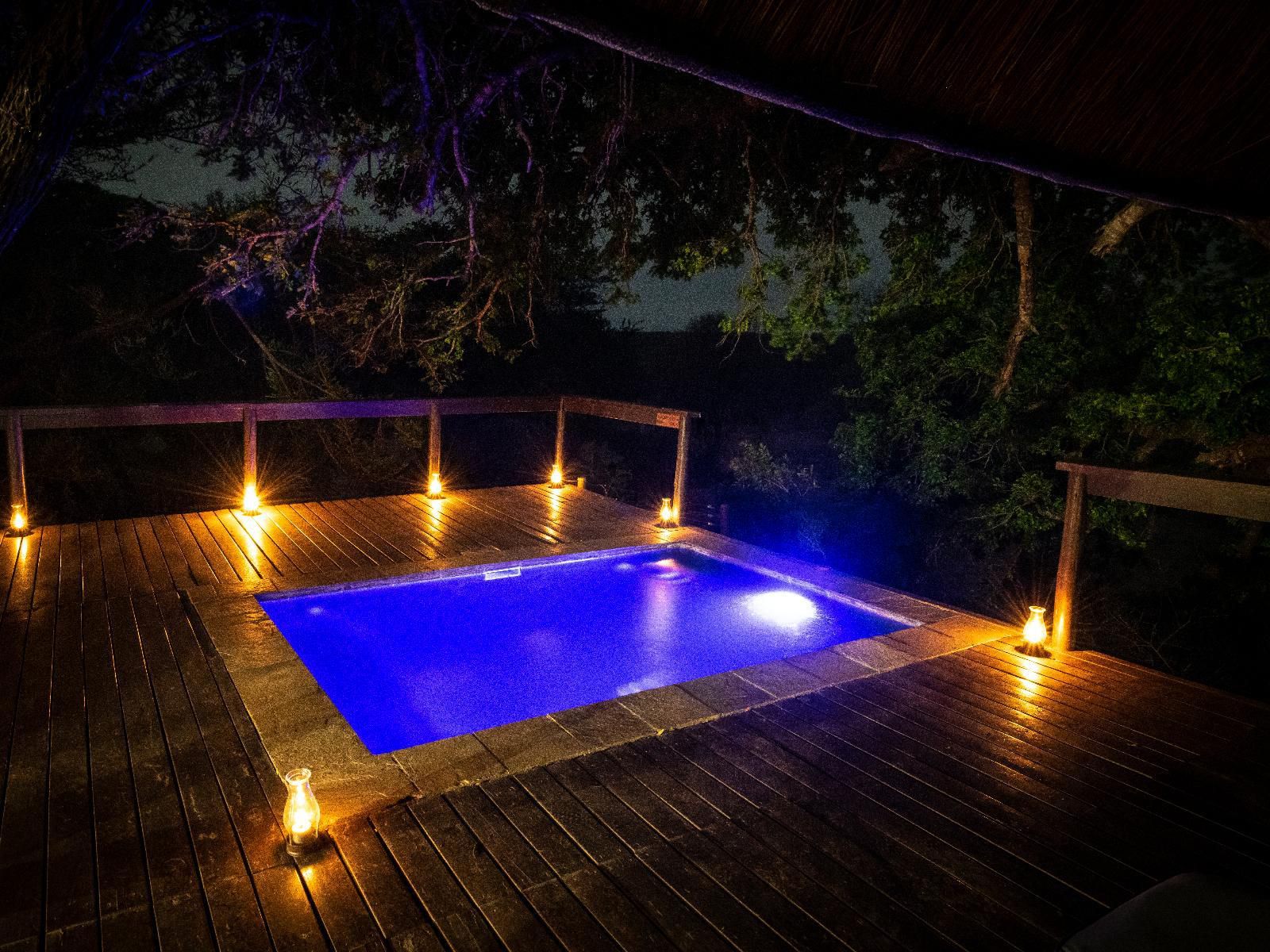 Elephant Plains Game Lodge Sabi Sand Reserve Mpumalanga South Africa Swimming Pool