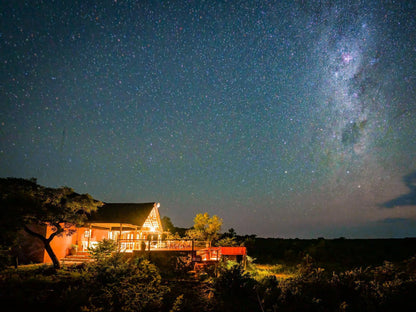 Elephants Crossing Welgevonden Game Reserve Limpopo Province South Africa Astronomy, Nature, Night Sky