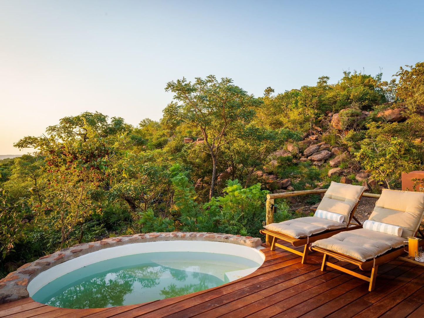 Elephants Crossing Welgevonden Game Reserve Limpopo Province South Africa Swimming Pool