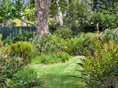 Elephants Eye Lodge Tokai Cape Town Western Cape South Africa Plant, Nature, Garden