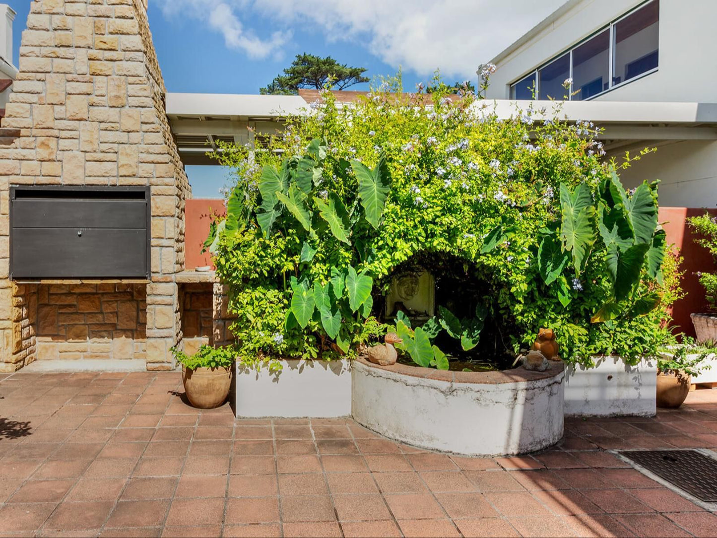 Elephants Eye Lodge Tokai Cape Town Western Cape South Africa House, Building, Architecture, Garden, Nature, Plant