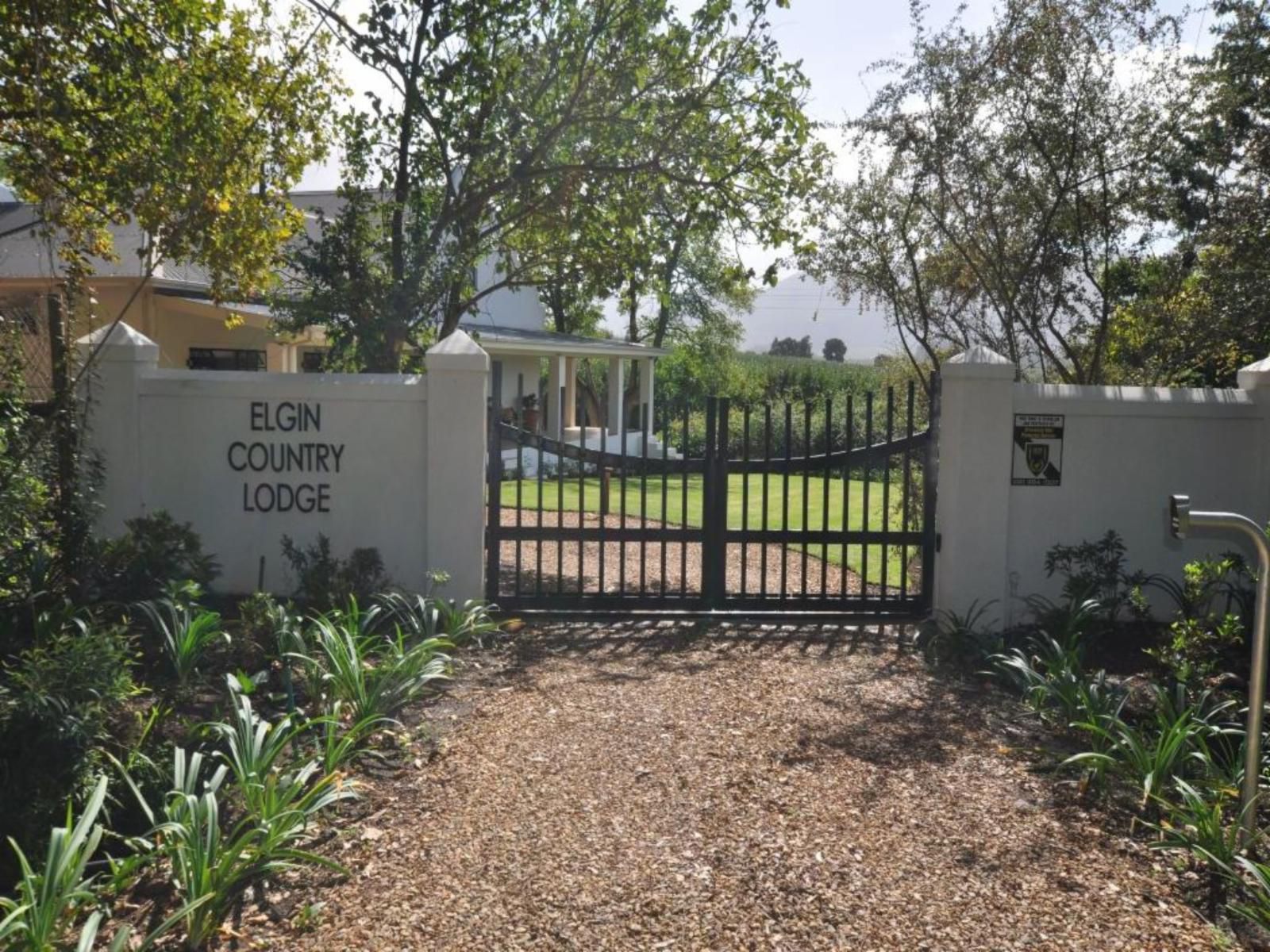 Elgin Country Lodge Elgin Western Cape South Africa Palm Tree, Plant, Nature, Wood, Sign