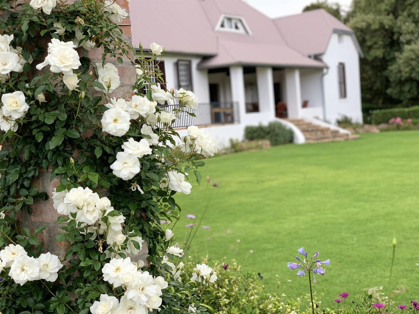 Elgin Vintners Country House Elgin Western Cape South Africa House, Building, Architecture, Plant, Nature, Garden