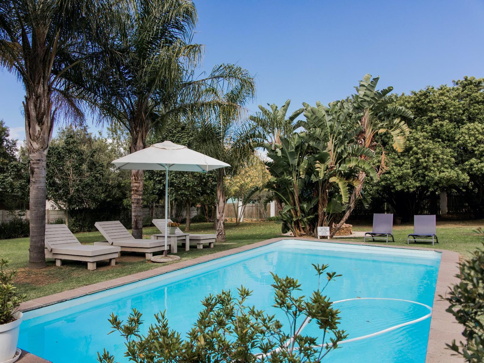 Elianthe Boutique Guest House Swellendam Western Cape South Africa Palm Tree, Plant, Nature, Wood, Swimming Pool