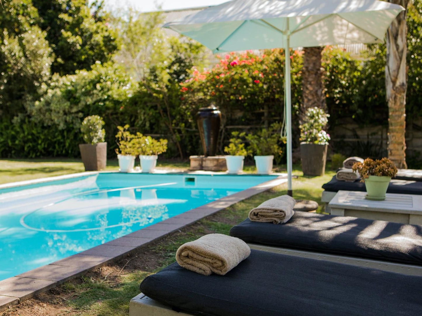 Elianthe Boutique Guest House Swellendam Western Cape South Africa Garden, Nature, Plant, Swimming Pool