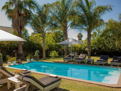 Elianthe Boutique Guest House Swellendam Western Cape South Africa Palm Tree, Plant, Nature, Wood, Swimming Pool