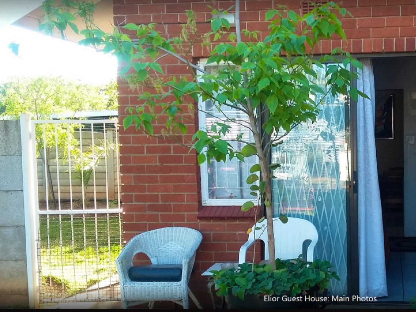 Elior Guesthouse, Tree, Plant, Nature, Wood