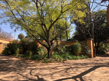 Eliora Randfontein Gauteng South Africa Plant, Nature, Garden