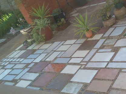 Elior Guest House Generaal De Wet Bloemfontein Free State South Africa Floor Texture, Texture, Garden, Nature, Plant