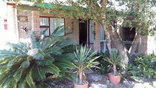 Ellipsis Cottage Brenton On Lake Knysna Western Cape South Africa House, Building, Architecture, Palm Tree, Plant, Nature, Wood, Garden