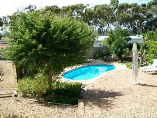 Elly S Place Darling Western Cape South Africa Palm Tree, Plant, Nature, Wood, Garden, Swimming Pool
