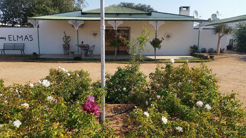 Elma S Self Catering Kenhardt Northern Cape South Africa House, Building, Architecture, Palm Tree, Plant, Nature, Wood, Rose, Flower, Garden