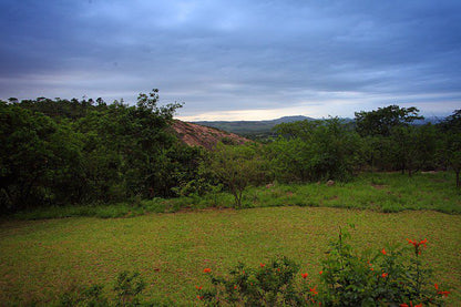 Eloff Guesthouse And Gallery White River Mpumalanga South Africa Complementary Colors, Nature