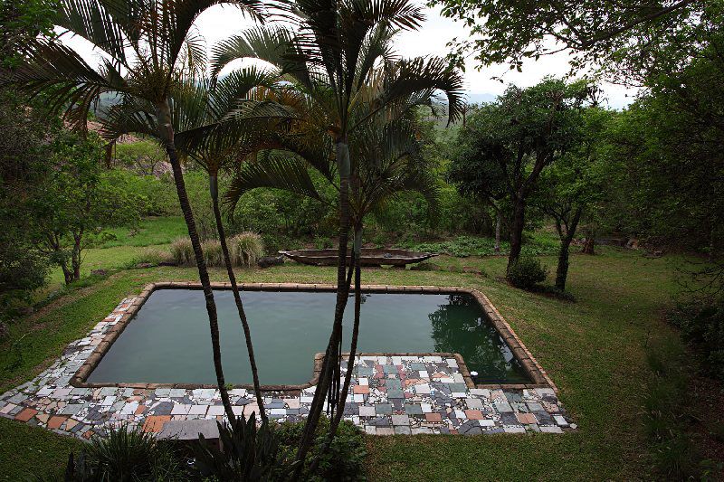 Eloff Guesthouse And Gallery White River Mpumalanga South Africa Palm Tree, Plant, Nature, Wood, Garden, Swimming Pool