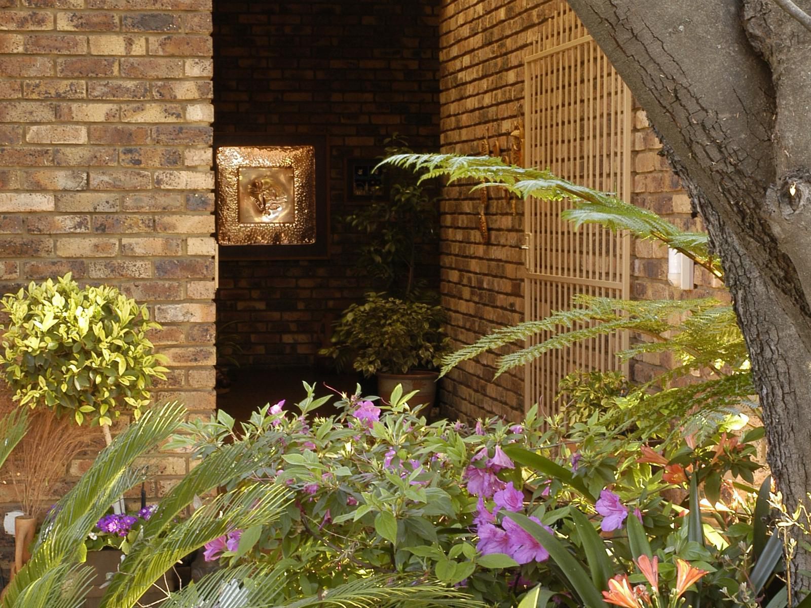 Elonda Bandb Faerie Glen Pretoria Tshwane Gauteng South Africa Brick Texture, Texture, Garden, Nature, Plant