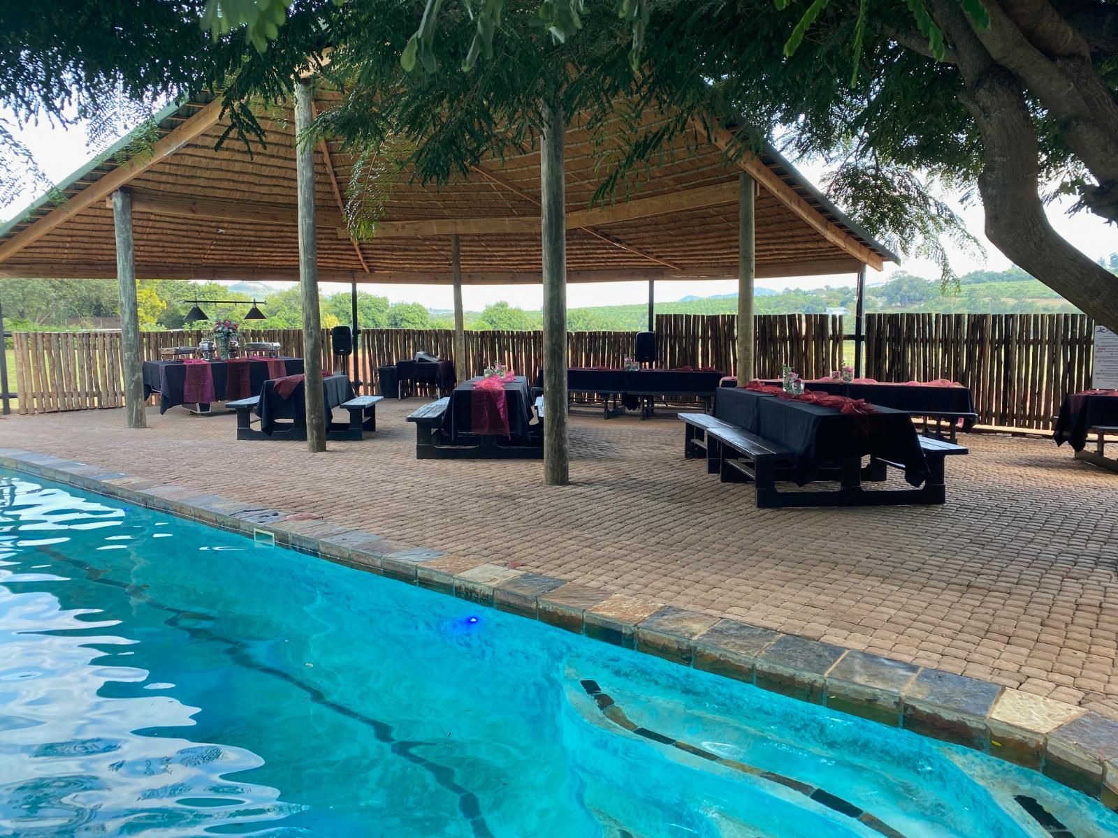El Roi Guest Lodge White River Mpumalanga South Africa Palm Tree, Plant, Nature, Wood, Swimming Pool